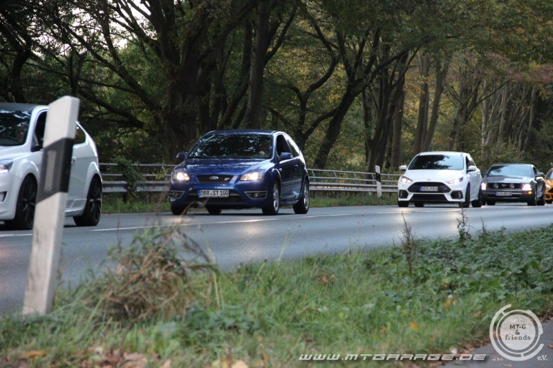 w_IMG_7446.JPG
