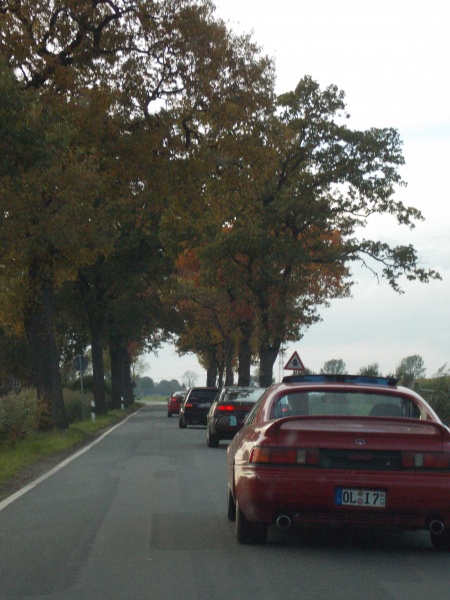 DSCN0777.JPG