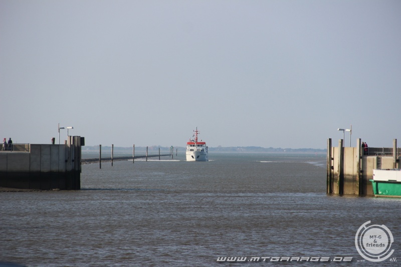 w_IMG_9448.JPG