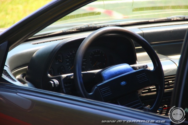 w_IMG_3764.JPG