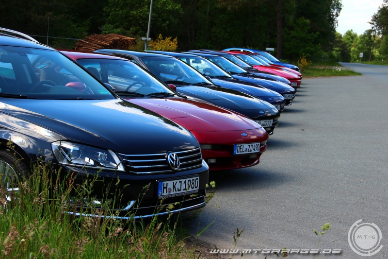w_IMG_8893.JPG