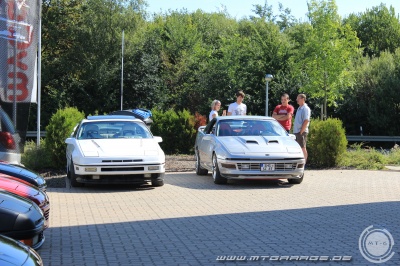 w_IMG_1181.JPG