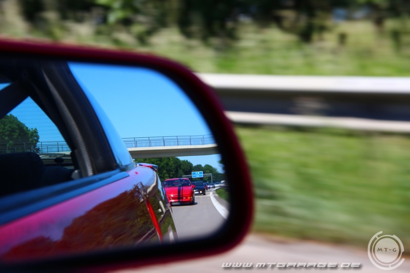 w_IMG_8715.JPG