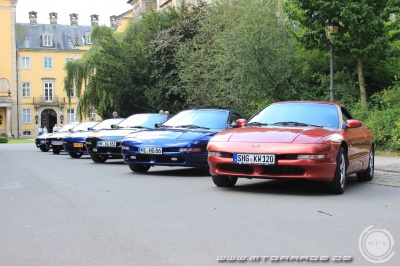 w_IMG_1248.JPG