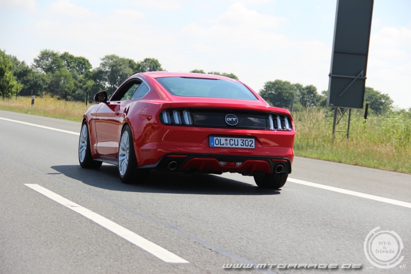 w_IMG_9950.JPG