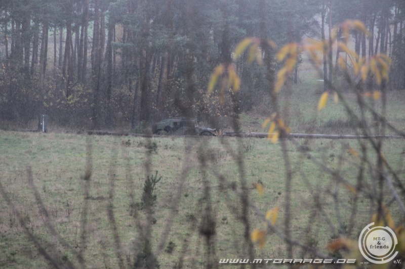 w_IMG_7663.JPG