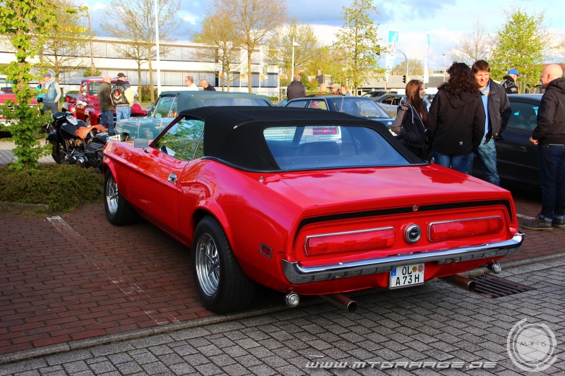 w_IMG_8535.JPG
