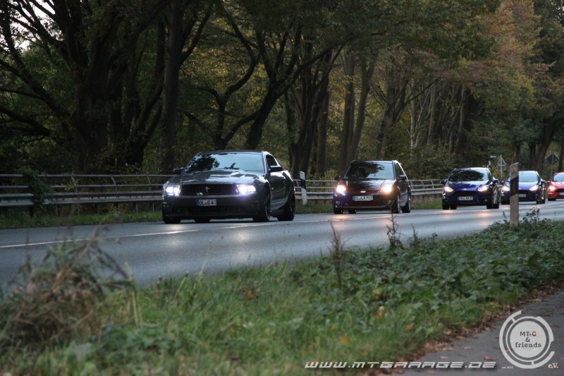 w_IMG_7422.JPG