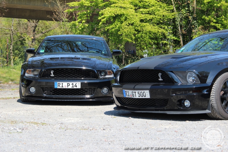 w_IMG_9317.JPG