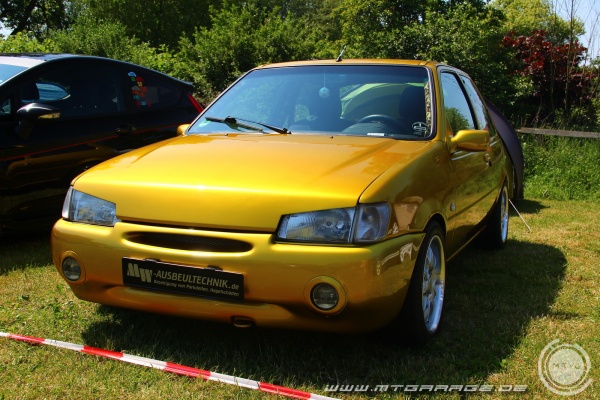 w_IMG_3698.JPG