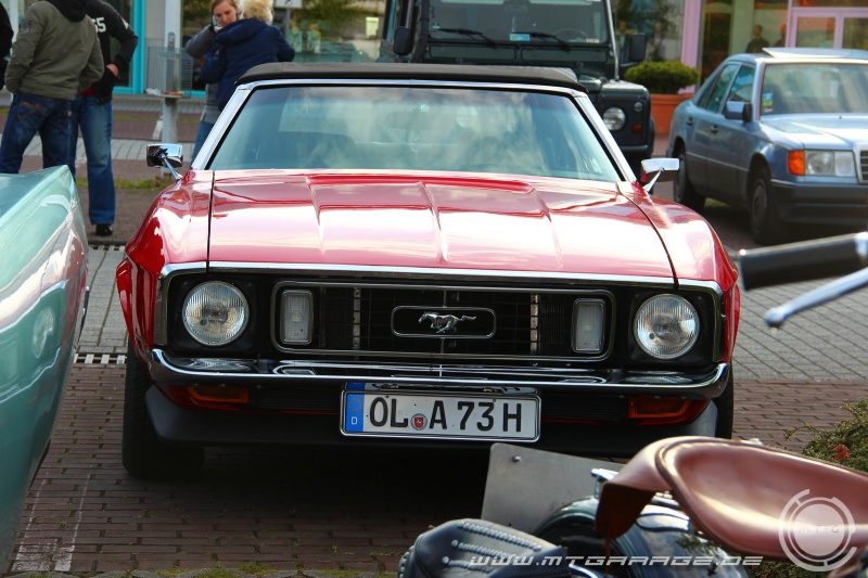 w_IMG_8558.JPG