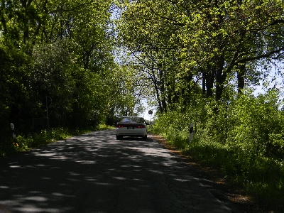 mtg-pst-shg-2011-05-113.JPG