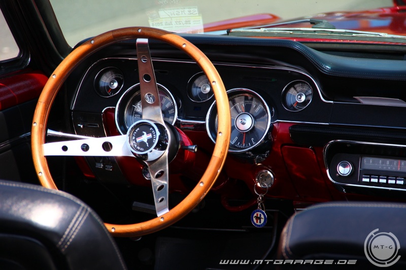 w_IMG_5930.JPG