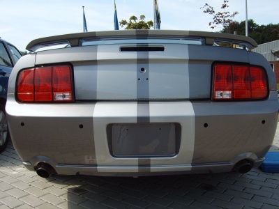 mustang_umbau_305.JPG