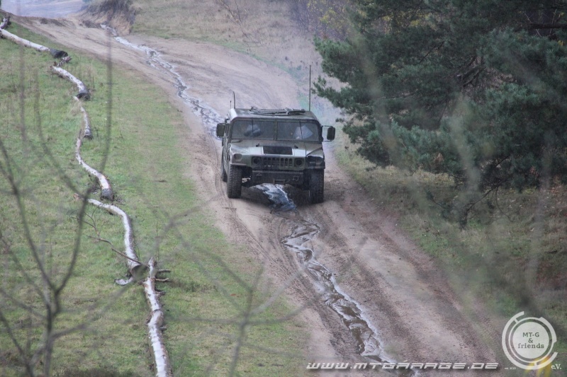 w_IMG_7638.JPG