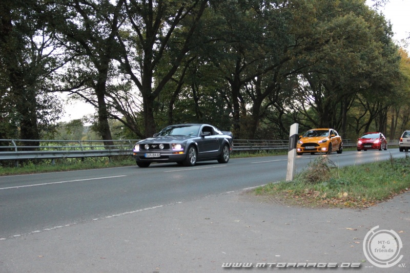 w_IMG_7449.JPG