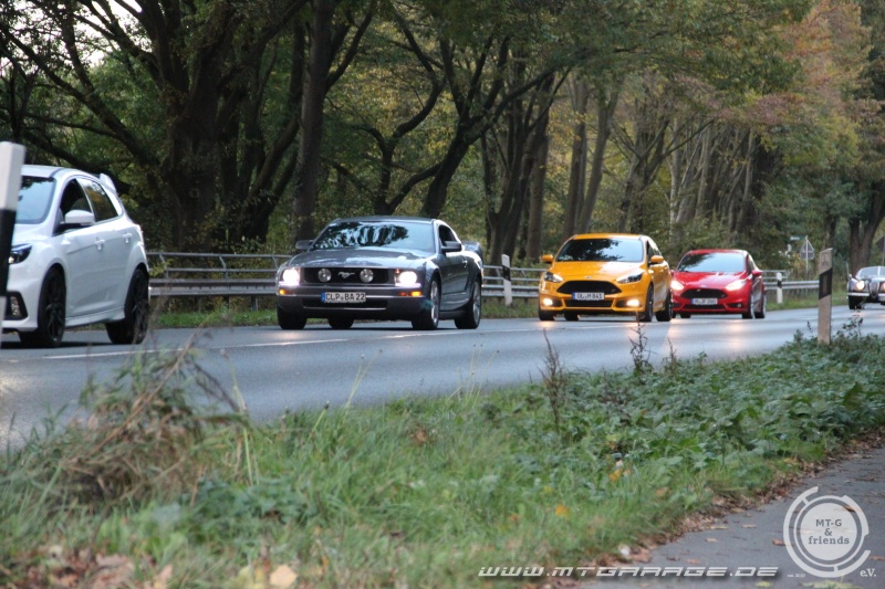 w_IMG_7448.JPG