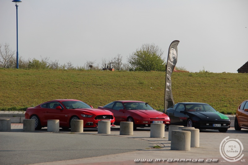w_IMG_9446.JPG