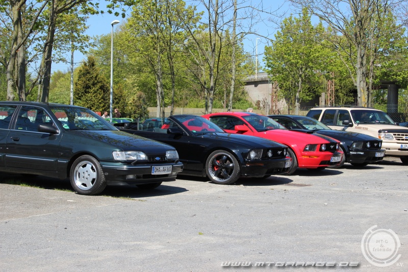 w_IMG_9248.JPG