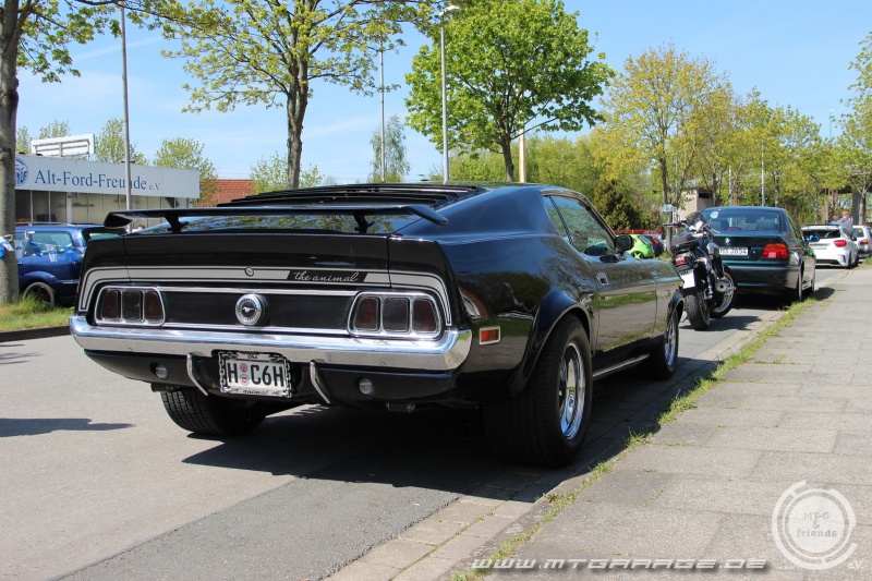 w_IMG_9337.JPG
