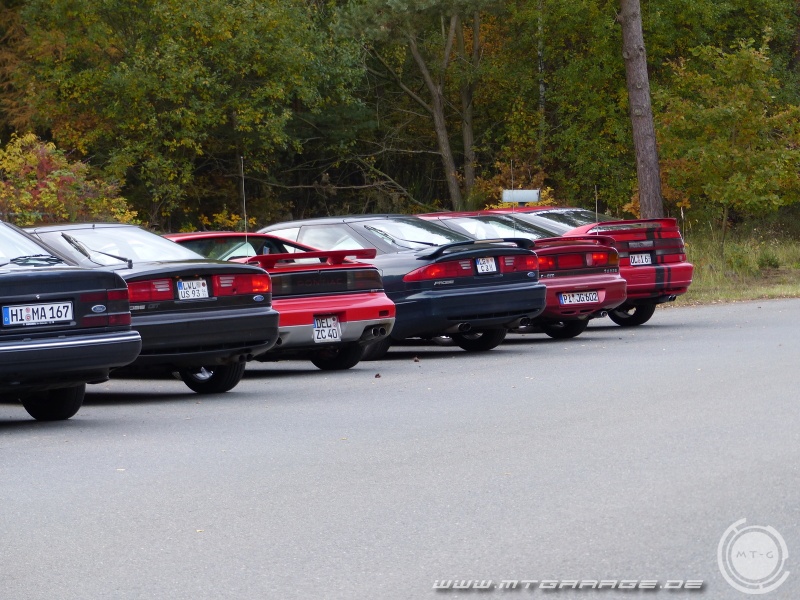 w_P1000368.JPG