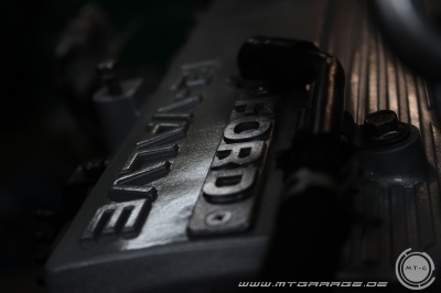 w_IMG_7113.JPG