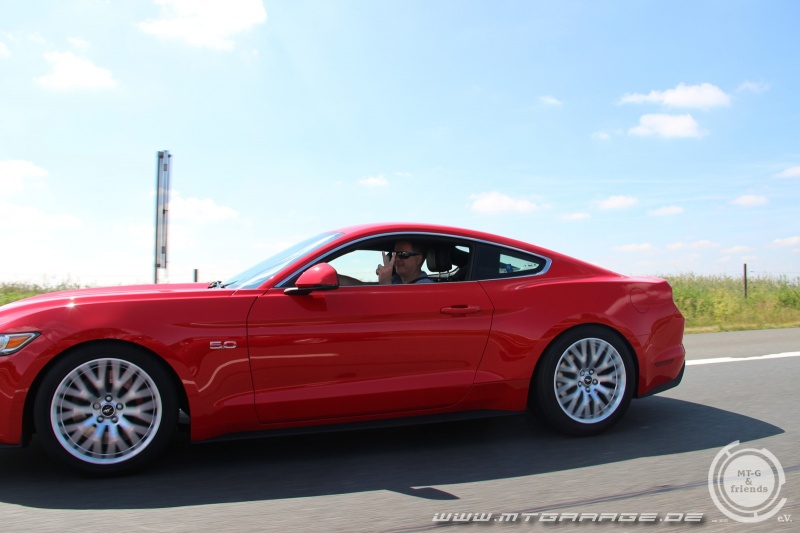 w_IMG_9961.JPG