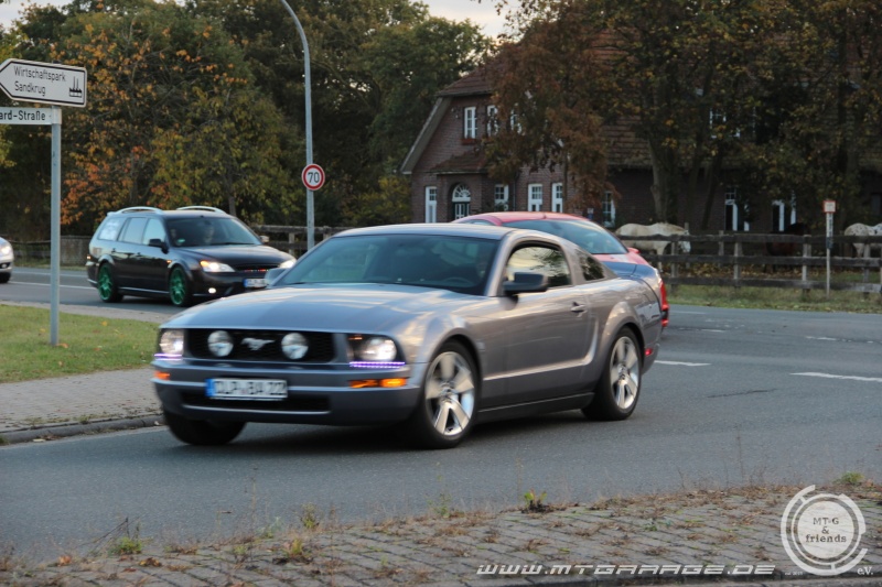 w_IMG_7388.JPG