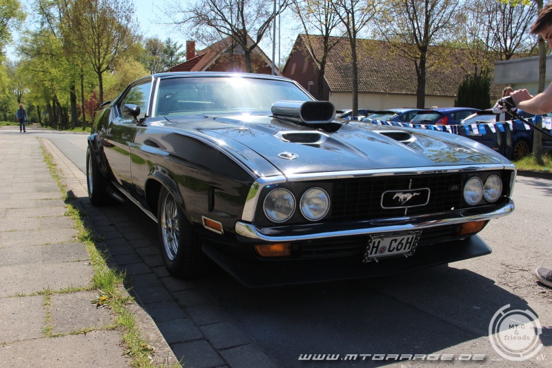 w_IMG_9338.JPG