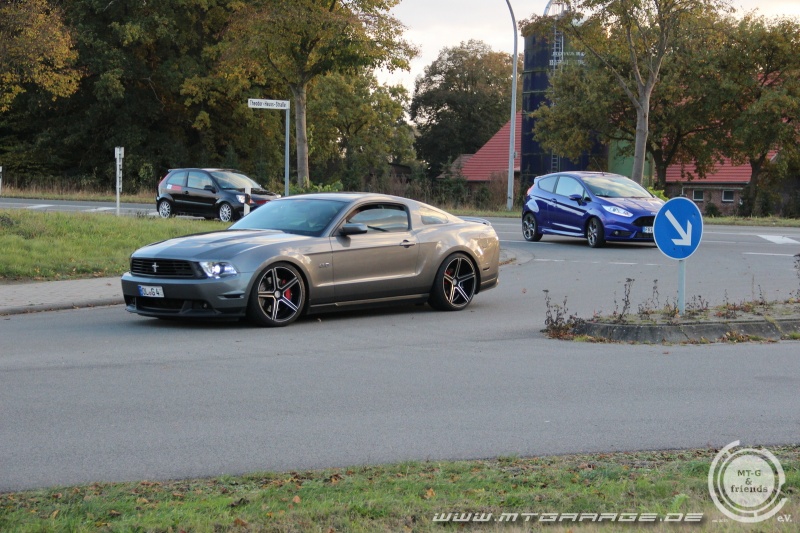 w_IMG_7370.JPG