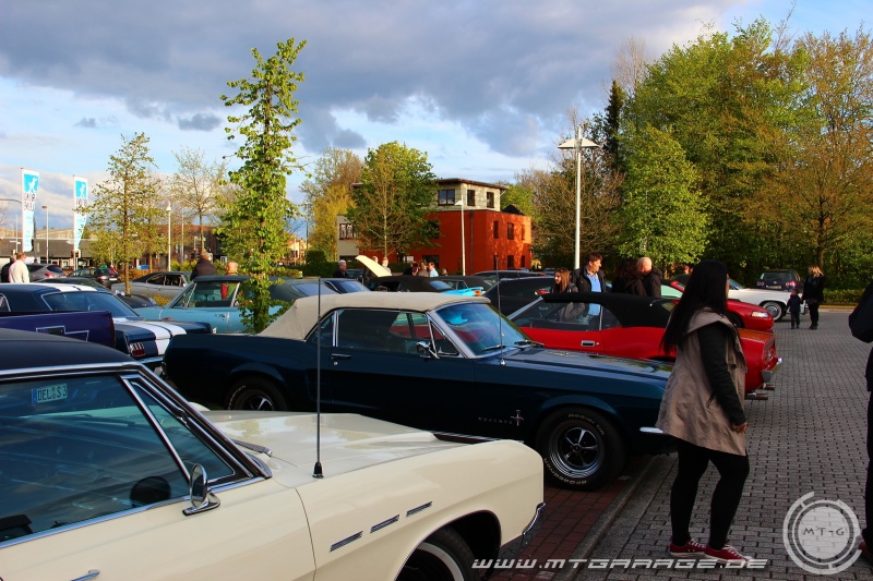 w_IMG_8533.JPG