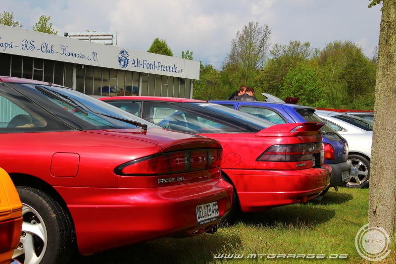 w_IMG_8467.JPG